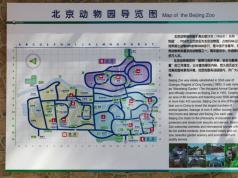 Пекинский зоопарк: сад десяти тысяч животных Няшные панды под китайской опекой